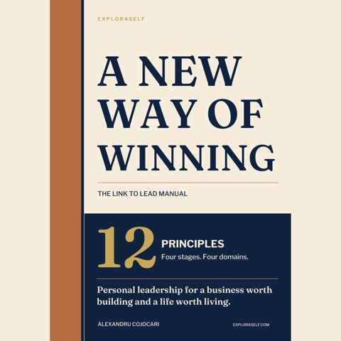 A New Way of Winning cover